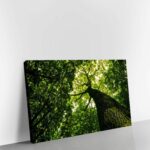 Green-Tree-mockup2